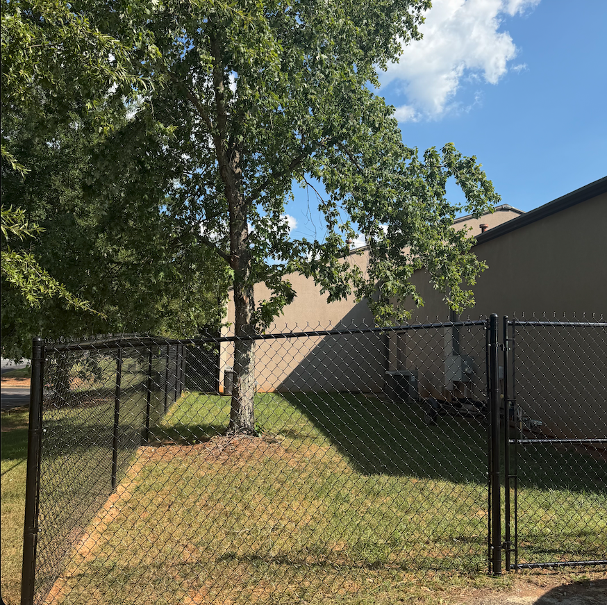 1241 Fallston Rd — Yard